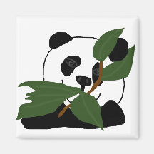Pandy Schatzmagnet