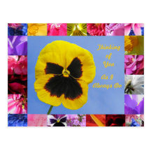 Pansy-Garten-Postkarte