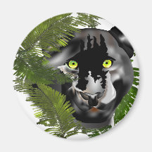 Panther im Laub Magnete