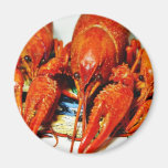 PanzerkrebseCrawdads Craytfish Magnete
