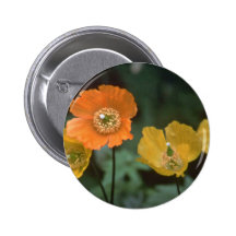 Papery Farben Anstecknadelbuttons