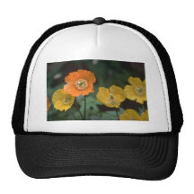 Papery Farben Kult Cap