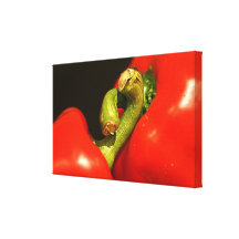 Paprika in Love Gespannter Galeriedruck