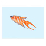 Paradies-Fische Postkarte