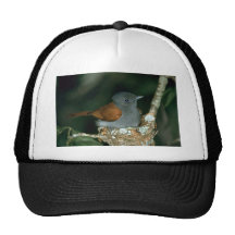 ParadiesFlycatcher Baseball Kappe