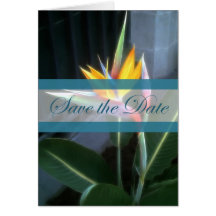 Paradiesvogel 10 Save the Date Wedding Grußkarten