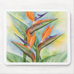 Paradiesvogel die Blumen-Kunst - multi Mauspad