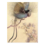 Paradiesvogel durch Warwick Goble Postkarte