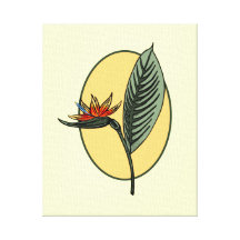Paradiesvogel Gespannter Galeriedruck