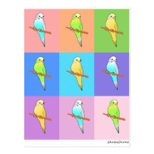 Parakeet-Regenbogen-Rechtecke Postkarten