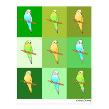 Parakeets in den grünen Quadraten Postkarte