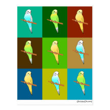 Parakeets in der Erde tonten Quadrate Postkarte
