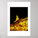 "Paris-Turm " Plakatdrucke