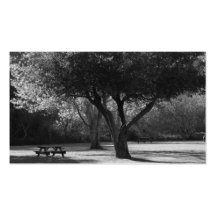 Park-Bank und Baum-Foto Visitenkarte