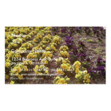 Park-Blumen Visitenkarte
