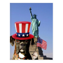 Patriotische Boxerhundepostkarte
