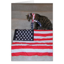 Patriotische Katzen-Karte