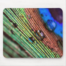 Peacock feather with water droplets mousepads