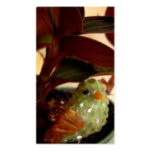 Peekaboo-Vogel-Visitenkarte