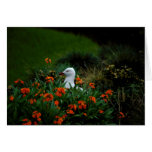 Peekabooseemöwegarten-Blumenflora mit Blumen Karte