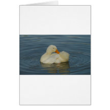 Pekin Ente 8 Grußkarte