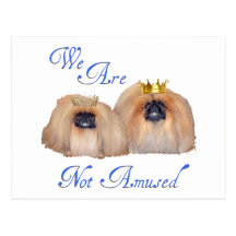 Pekingese werden nicht unterhalten postkarten