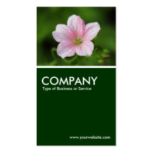 Pelargonie - dunkelgrün visitenkartenvorlage