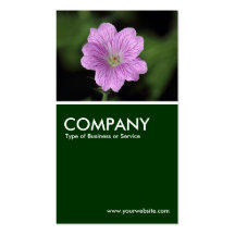Pelargonie Endressii - dunkelgrün Visitenkarte