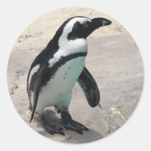Penquin Aufkleber