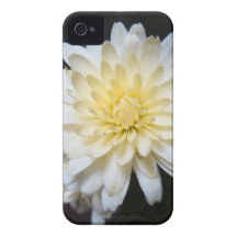 Perfektion iPhone 4 Case-Mate Hülle