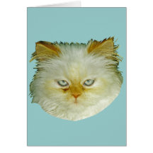 Persische Katze Karten