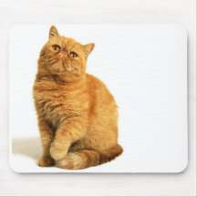 Persische Katze Mauspad