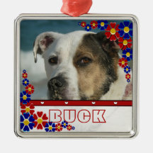 Personalisiertes Haustier-Hundefoto-Rahmen-Gänsebl Ornament