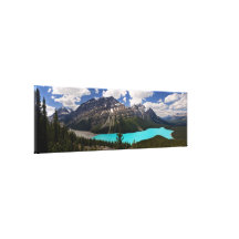 Peyto See im Sommer Leinwand Druck