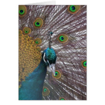Pfau 39a karten