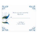 Pfau-Garten in Blauem und in weißem Postkarte