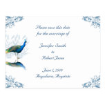 Pfau-Garten Save the Date Postkarte
