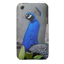 Pfau iPhone Fall iPhone 3 Case-Mate Hülle