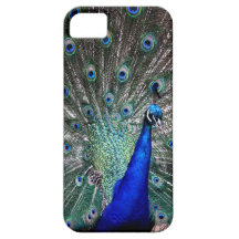 Pfau iphone Fall iPhone 5 Schutzhülle