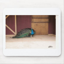Pfau Mauspads