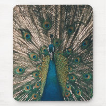 PFAU MOUSEPAD