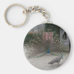 Pfau Schlüsselband