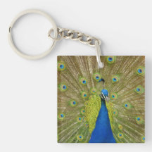 Pfau-Schlüsselkette