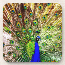 Pfau-schöner grüner Vogel-tierischer königlicher L Getränk Untersetzer