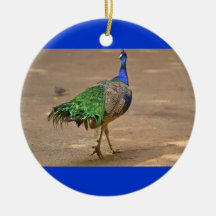 Pfau-Verzierung Ornamente