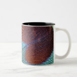 Pfaufederbecher Teetasse