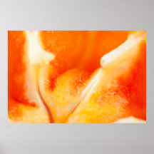 Pfeffer Phoenix Posterdruck