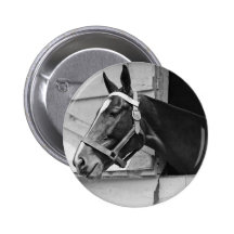 Pferd Button