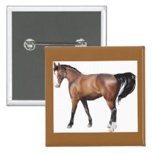 Pferd Button