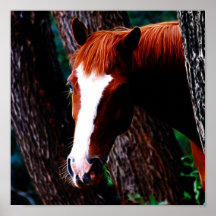 Pferd im Wald Plakatdruck